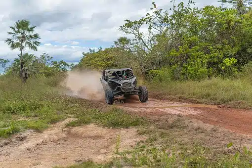 UTVs and ATVs